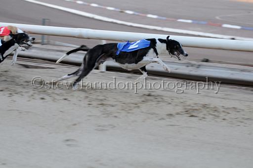 sat25_019.JPG - (C)S.FARNDON
