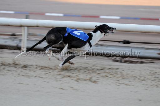 sat25_020.JPG - (C)S.FARNDON