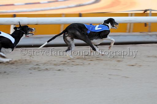 sat25_022.JPG - (C)S.FARNDON