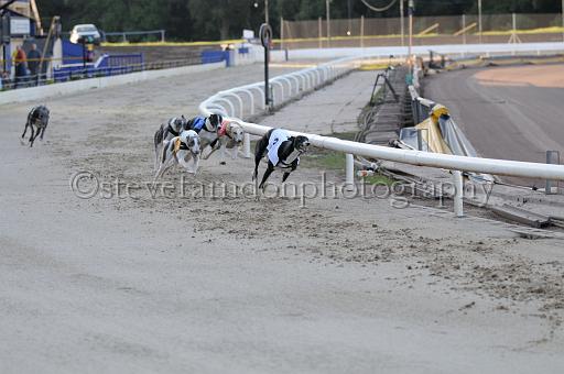 sat25_026.JPG - (C)S.FARNDON