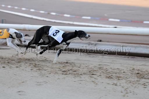 sat25_030.JPG - (C)S.FARNDON