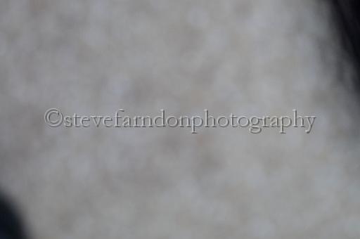 sat25_034.JPG - (C)S.FARNDON