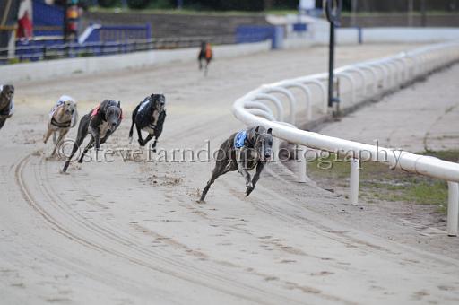 sat25_051.JPG - (C)S.FARNDON