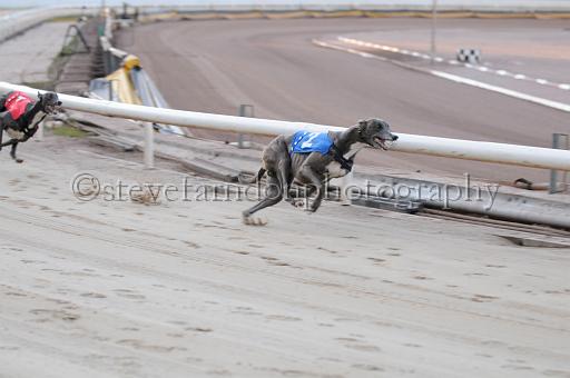 sat25_052.JPG - (C)S.FARNDON