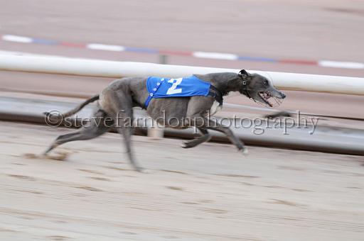 sat25_054.JPG - (C)S.FARNDON