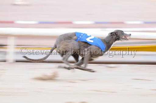 sat25_055.JPG - (C)S.FARNDON