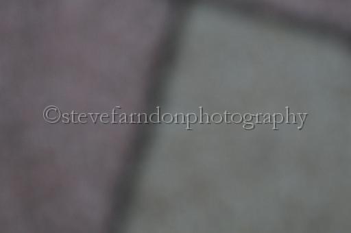 sat25_065.JPG - (C)S.FARNDON
