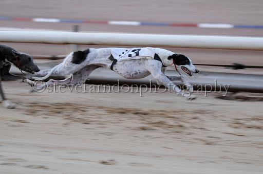sat25_071.JPG - (C)S.FARNDON