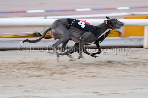 sat25_084.JPG - (C)S.FARNDON