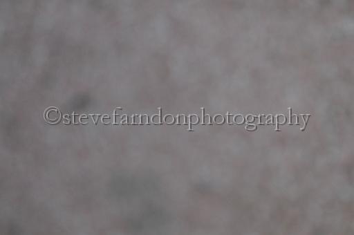 sat25_085.JPG - (C)S.FARNDON