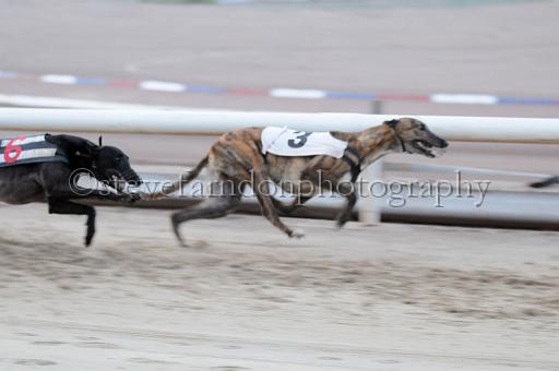 sat25_091.JPG - (C)S.FARNDON