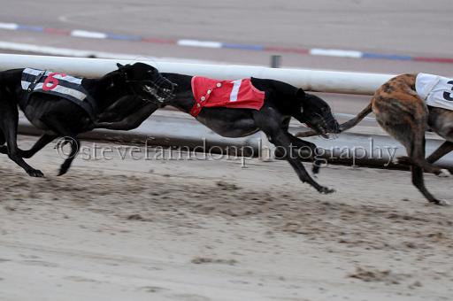 sat25_099.JPG - (C)S.FARNDON