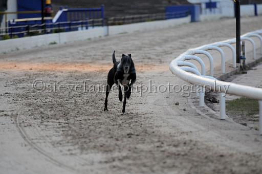 sat25_103.JPG - (C)S.FARNDON