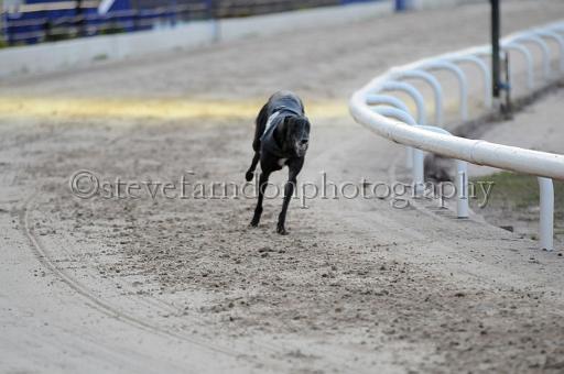 sat25_104.JPG - (C)S.FARNDON