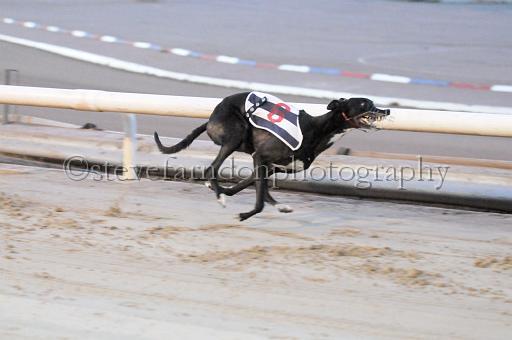 sat25_125.JPG - (C)S.FARNDON