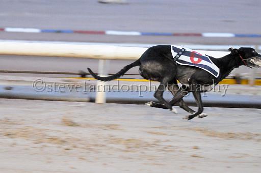 sat25_127.JPG - (C)S.FARNDON