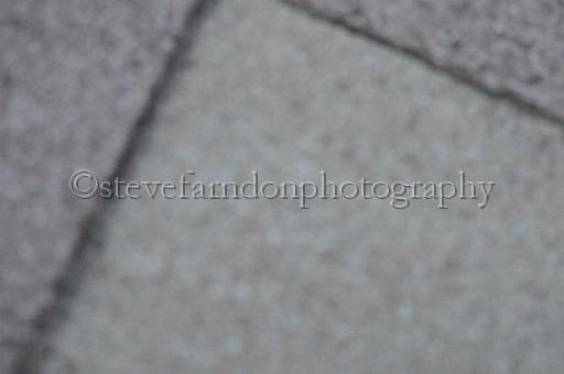 sat25_130.JPG - (C)S.FARNDON