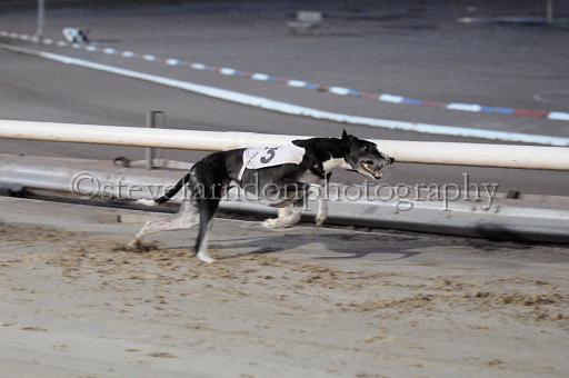 sat25_135.JPG - (C)S.FARNDON
