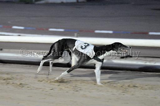 sat25_136.JPG - (C)S.FARNDON