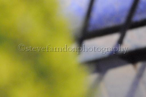 sat25_151.JPG - (C)S.FARNDON