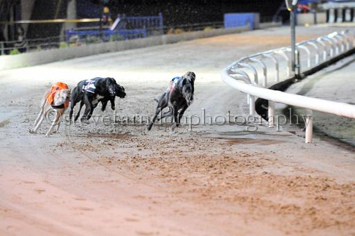 sat25_153.JPG - (C)S.FARNDON