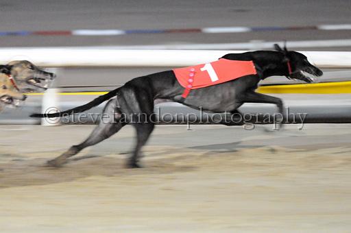 sat25_156.JPG - (C)S.FARNDON