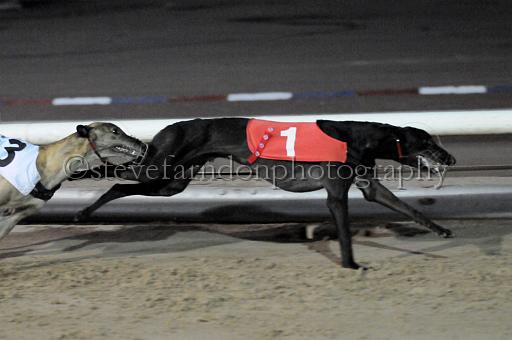 sat25_164.JPG - (C)S.FARNDON