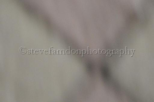 sat25_167.JPG - (C)S.FARNDON