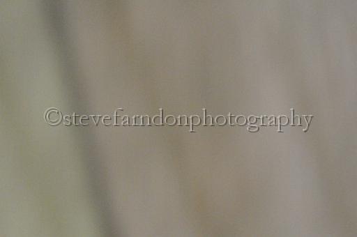 sat25_179.JPG - (C)S.FARNDON