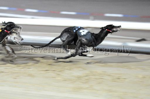 sat25_185.JPG - (C)S.FARNDON