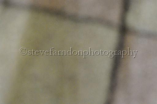 sat25_193.JPG - (C)S.FARNDON