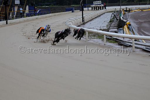sun26_004.JPG - (C)S.FARNDON