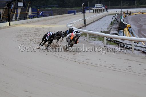 sun26_054.JPG - (C)S.FARNDON