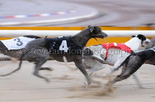 sun26_060.JPG - (C)S.FARNDON