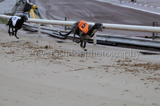 sun26_066.JPG - (C)S.FARNDON