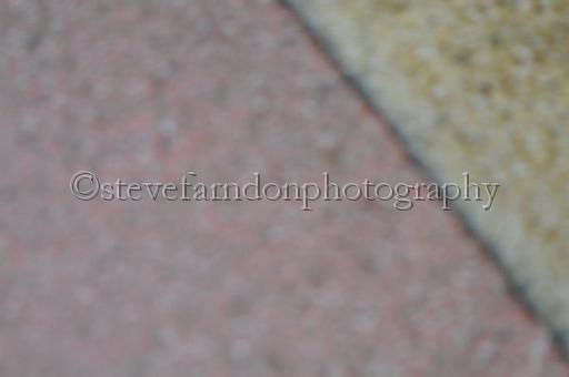 sun26_069.JPG - (C)S.FARNDON