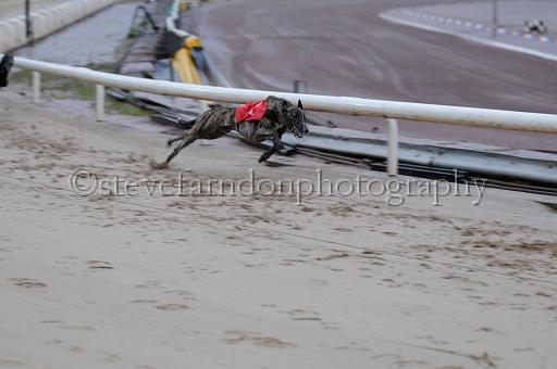 sun26_074.JPG - (C)S.FARNDON