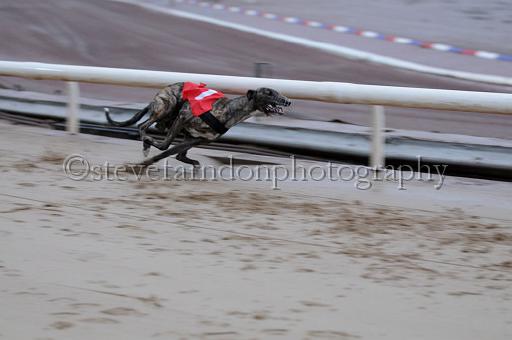 sun26_075.JPG - (C)S.FARNDON