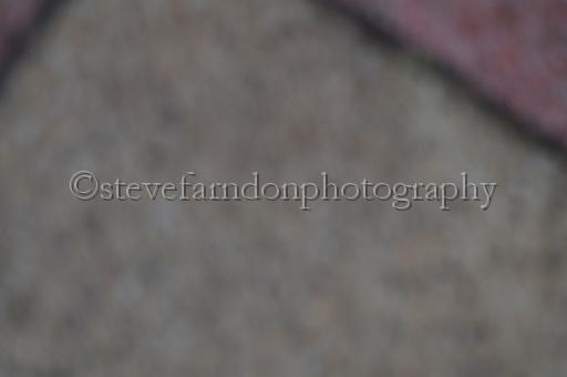 sun26_083.JPG - (C)S.FARNDON