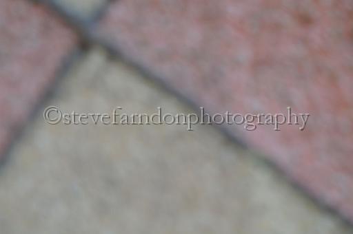 sun26_093.JPG - (C)S.FARNDON