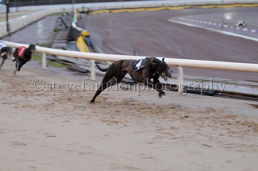 sun26_099.JPG - (C)S.FARNDON