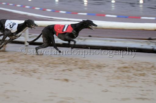 sun26_100.JPG - (C)S.FARNDON
