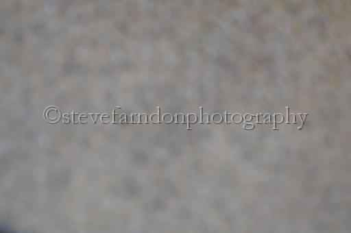sun26_102.JPG - (C)S.FARNDON