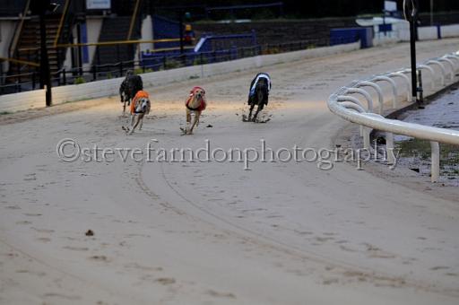 sun26_106.JPG - (C)S.FARNDON