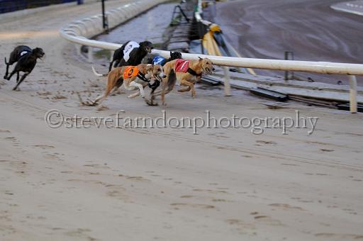 sun26_108.JPG - (C)S.FARNDON