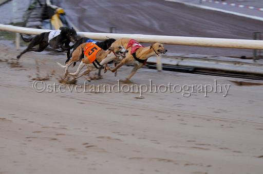 sun26_109.JPG - (C)S.FARNDON