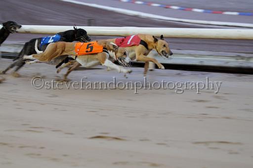sun26_110.JPG - (C)S.FARNDON