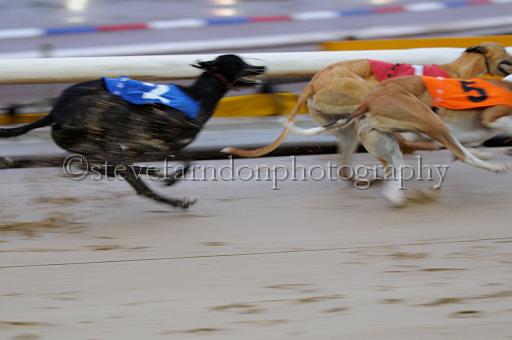 sun26_112.JPG - (C)S.FARNDON