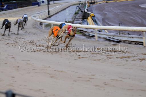 sun26_118.JPG - (C)S.FARNDON
