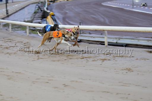 sun26_119.JPG - (C)S.FARNDON